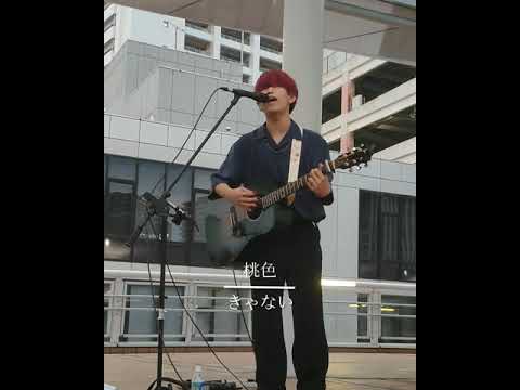 「桃色」きゃない 2021-06-26 海老名
