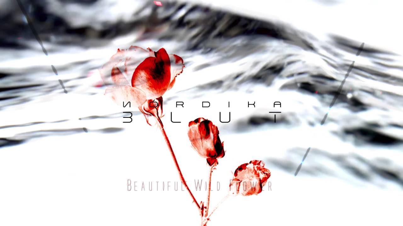 Watch Nórdika - Beautiful Wild Flower on YouTube Watch Nórdika - Beautiful Wild Flower on YouTube
