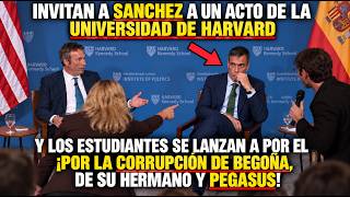 ¡RIDÍCULO MUNDIAL! ESTUDIANTES DE HARVARD ATACAN A SÁNCHEZ CON CORRUPCIÓN DE BEGOÑA GÓMEZ Y PEGASUS screenshot 3