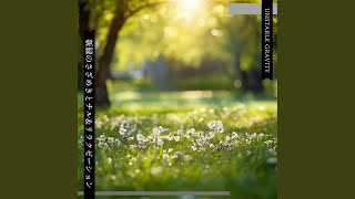 Clear Skies Tender Muse - Unstable Gravity