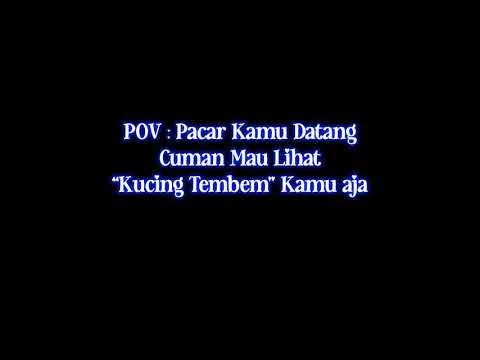 Ketemuan Cuma Mau Liat Kucing | ASMR Boyfriend | ASMR Indonesia | ASMR Cowok