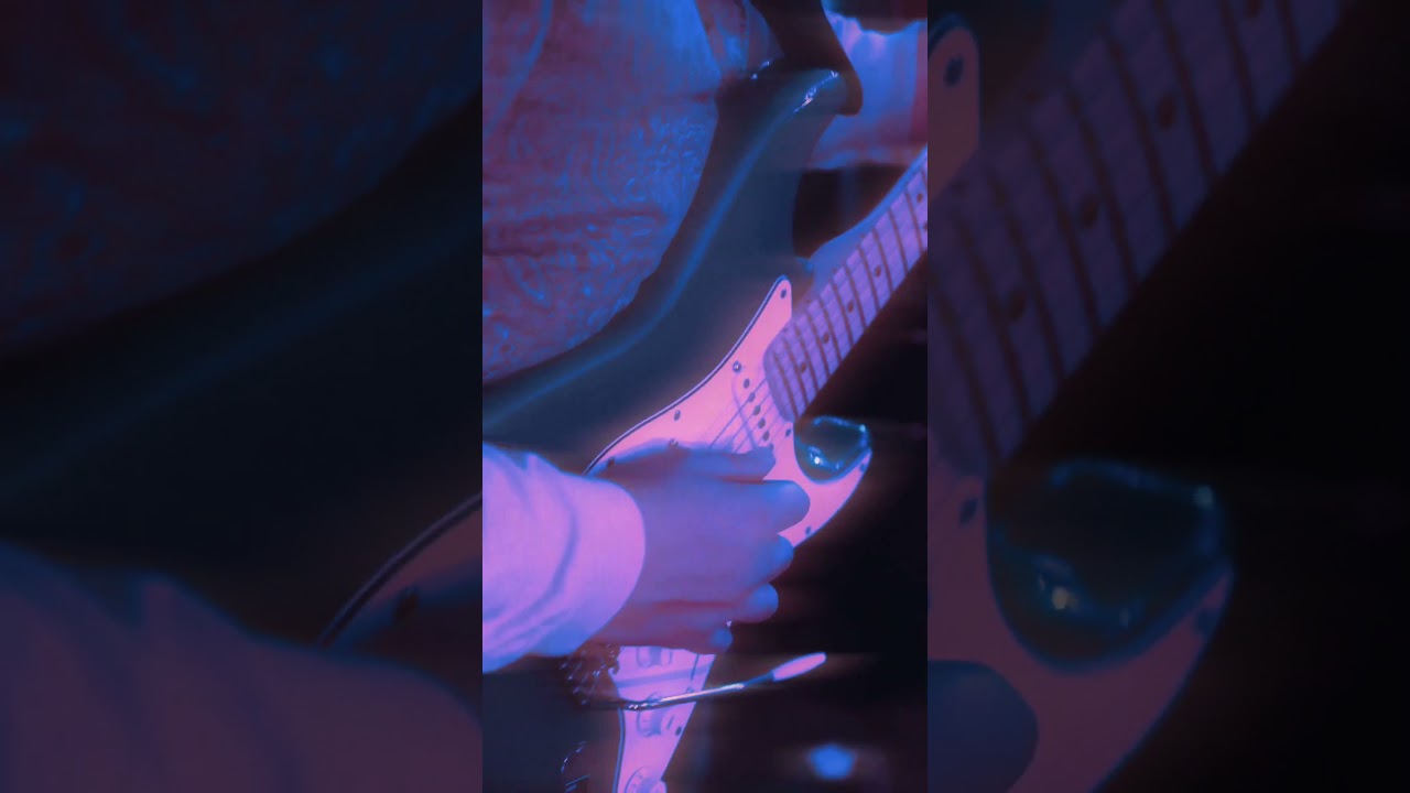 Groovy "East Ave" Highlight | Mango Jam Originals