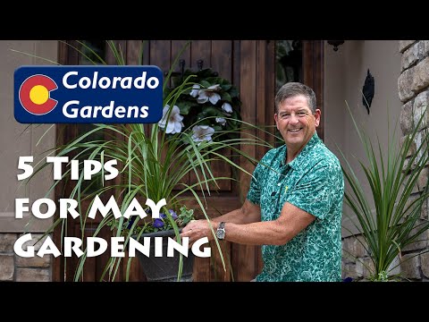 5 Tips for May Gardening