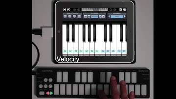 QuNexus and Pianist Pro