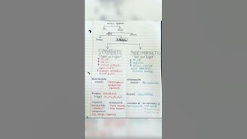 Autonomic nervous system physiology and nervous system