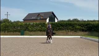 Advert reference - 317782