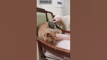 Riddle me this:  What Holds Teeth but Never Bites