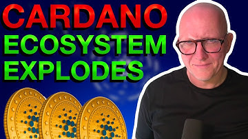 Cardano Ecosystem Explodes | ADA The Most Active Project - Cardano ADA News!