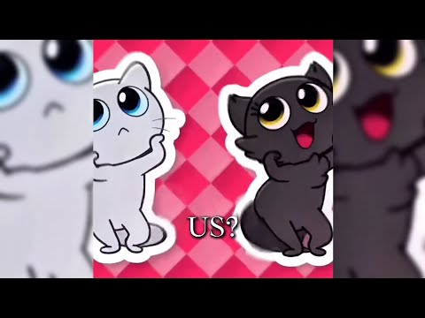 CONFESS YOUR LOVE FUNK SLOWED