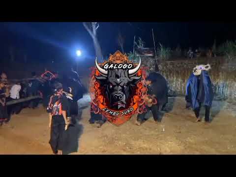 DJ BANTENGAN GALOGO LEMBU SURO ‼️ FEEL ONLY LOVE  X SALEHO  REMIXER BY DJ RENDYLK