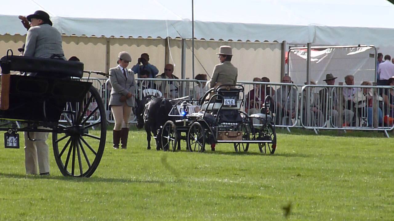 Judi Alfie & Wally with Phillipa Burwarton Show 2014