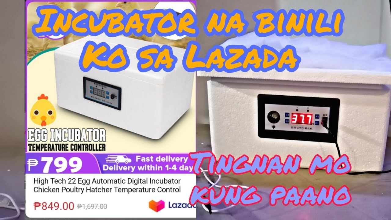 EGG INCUBATOR Temperature Controler.