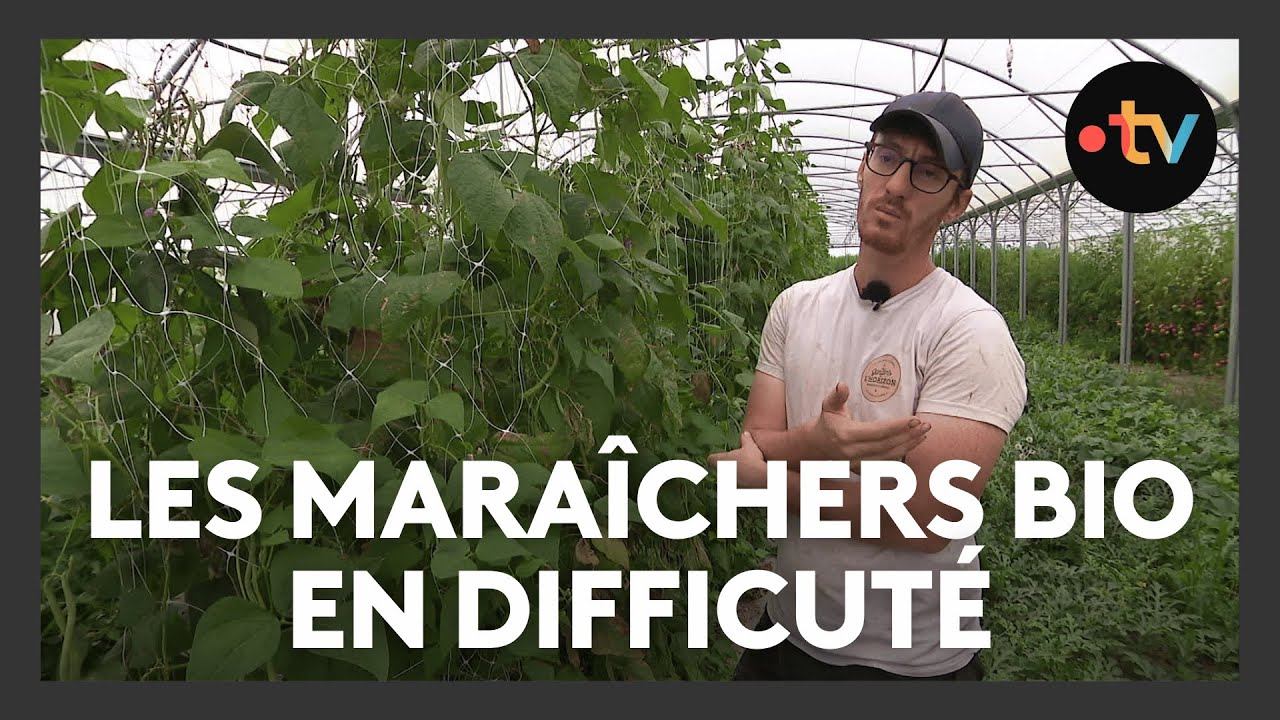 Didier Rohan Les maraîchers bio en difficulté face aux intempéries des derniers mois ...