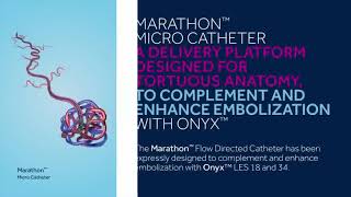 Medtronic Onyx™ Liquid Embolic System with Marathon™ and Apollo™ 2019