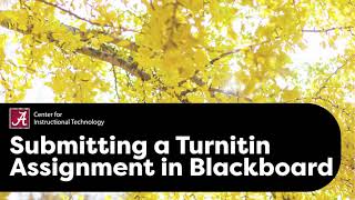 Submitting a Turnitin Assignment in Blackboard for Students