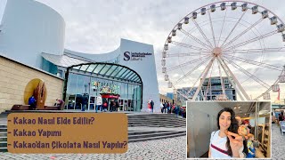 Köln Çikolata Müzesi, Schokoladen Museum - Kakao Nedir? Kakao Nasıl Üretilir?Çikolata Nasıl Yapılır?