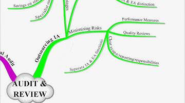 CIMA P3 Lecture 8 Audit & Review.avi