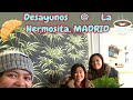 Desayunos  la hermosita madrid el trio travel and food lifeineurope enjoylife