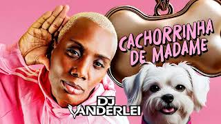 Cachorrinha De Madame Remix   Mc Gw Pollini Dj Duarte E Dj Vanderlei