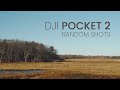 DJI Pocket 2 | Random Cinematic Shots | 4K