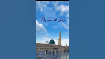 واعلموا أن فيكم رسول الله | فيديوهات قصيرة | قران كريم