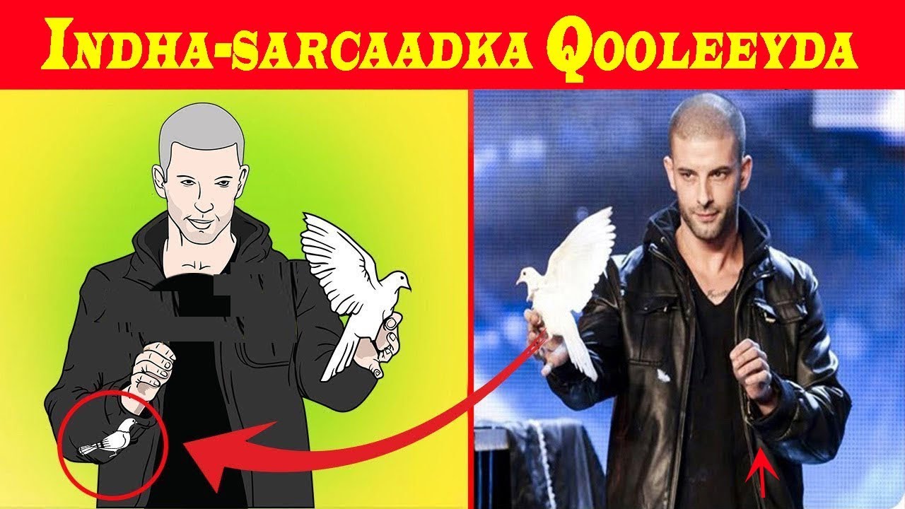 INDHASARCAADKA SHIMBIRAHA IYO XEELADAHOODA HD