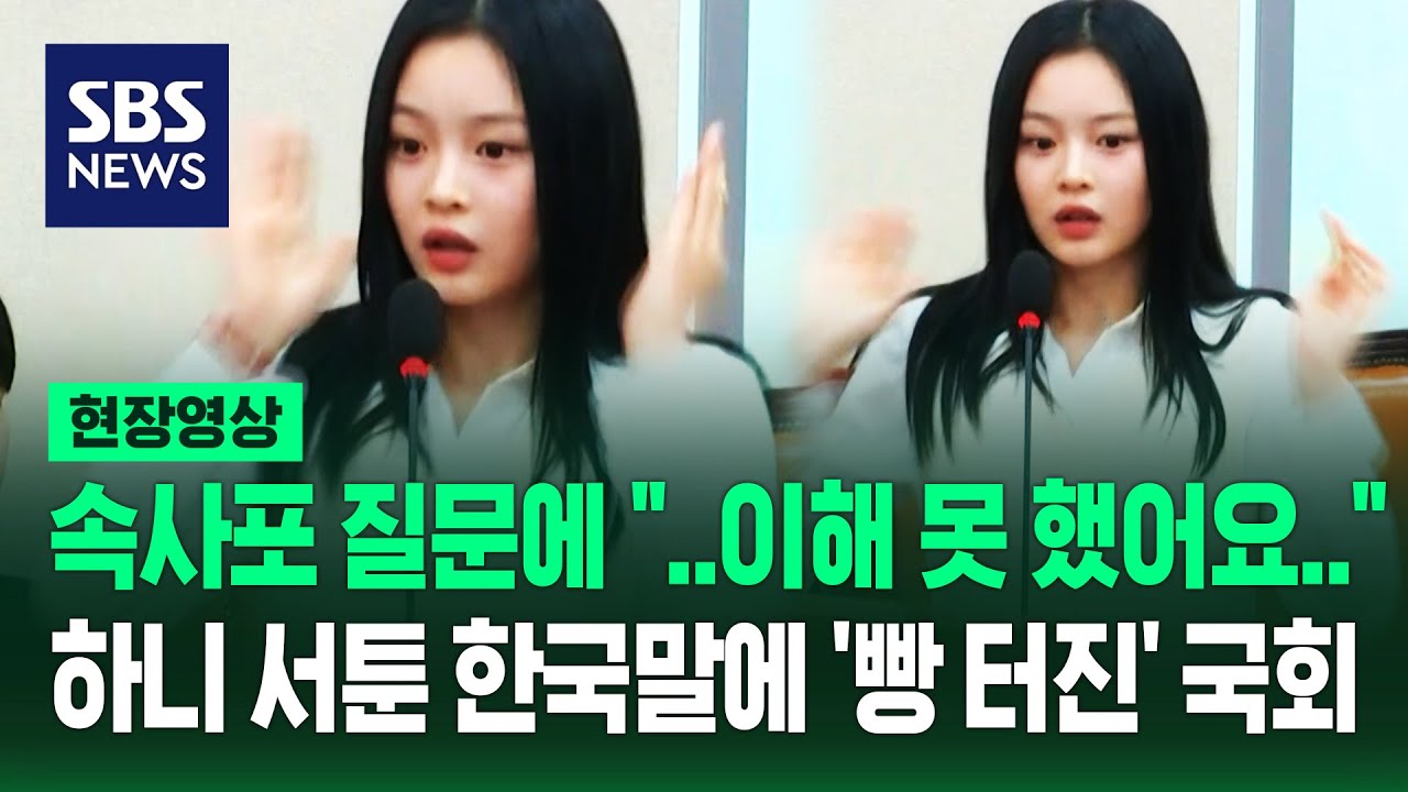 속사포 질문에 '멘붕' 온 뉴진스 하니 