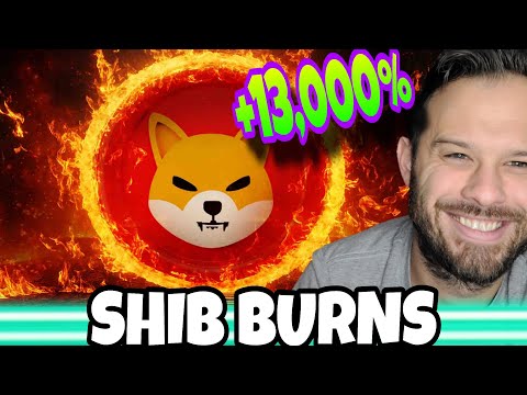 Shiba Inu Coin SHIB Burns Rising The Community Is Still Here