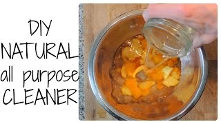 Going Zero Waste Diy Natural All Purpose Cleaner Minimalism & Zero Waste