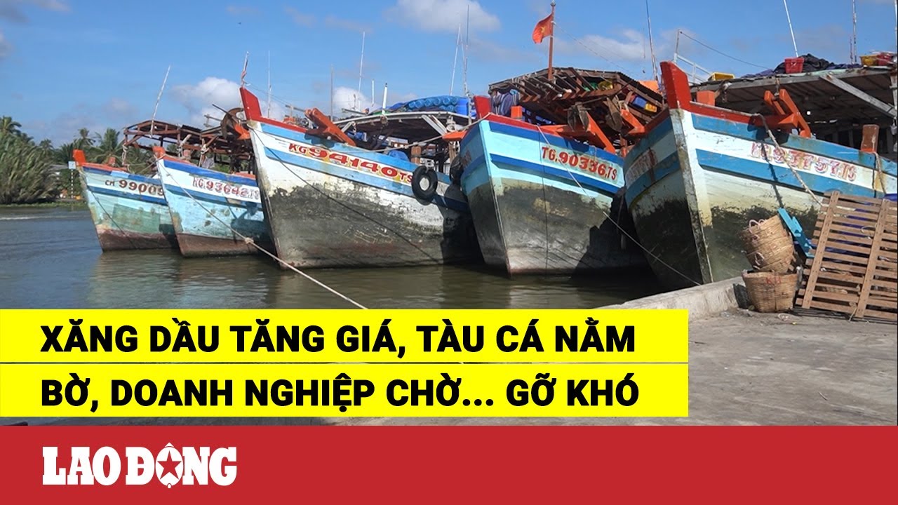 Xăng dầu tăng giá, tàu cá nằm bờ, doanh nghiệp chờ... - youtube