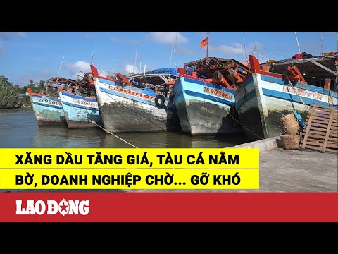Video Xăng dầu tăng giá, tàu cá nằm bờ, doanh nghiệp chờ... - youtube