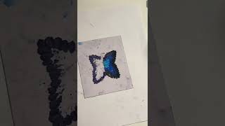 First time I draw like this ?? art butterfly oilpastel