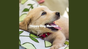 Happy Music for Forgetting Mirrors