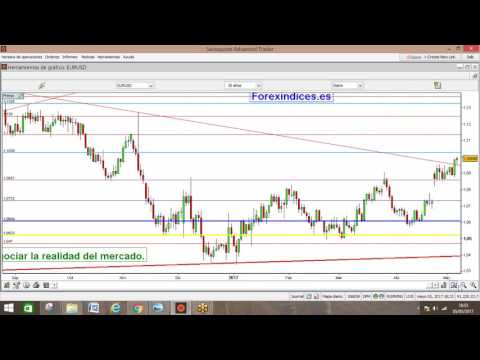 Forex correlacion con petroleo