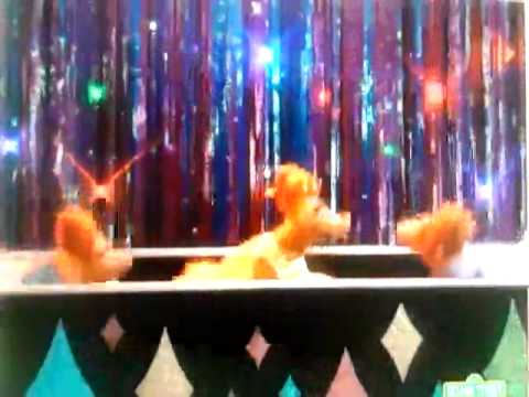 Sesame Street "Where Can You Be, B?" - YouTube