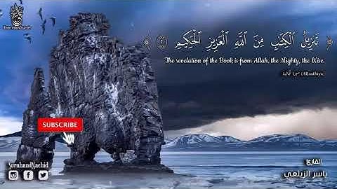 سورة الجاثية ياسر الزيلعي