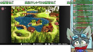 スーパードンキーコング３
