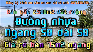 Bán gấp 2.500m2 đất ruộng mặt tiền đường nhựa giá rẽ 75 triệu một ngang huyện Giồng riềng kiên Giang