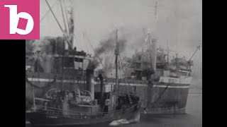 Whaling in Antarctica: 1940s