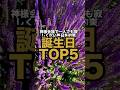【8月お盆】神様会議で一人でも寂しくない毎日を約束される誕生日TOP5