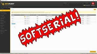 Tutorial: Betaflight Softserial screenshot 5
