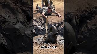 Baby Elephant Trapped in Clay… Then This Happened #animalrescue #wildliferescue #wildlife #animals