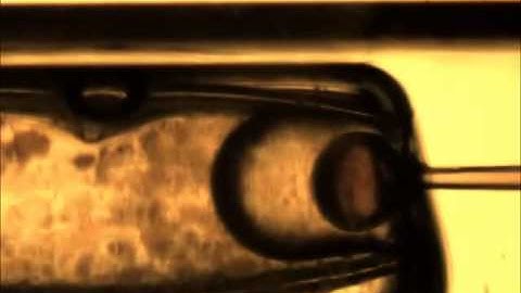 A 3D-Printed Microcapillary Assembly for Facile Double Emulsion Generation