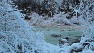Relaxing Sound of a River 1 Hour / Cold Frosty Morning by The River