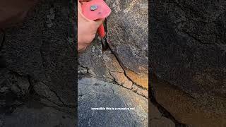 #TreasureHunting #RockHounding #NaturesSecrets #MiningLife #Geology #CrystalHunting #Exploration