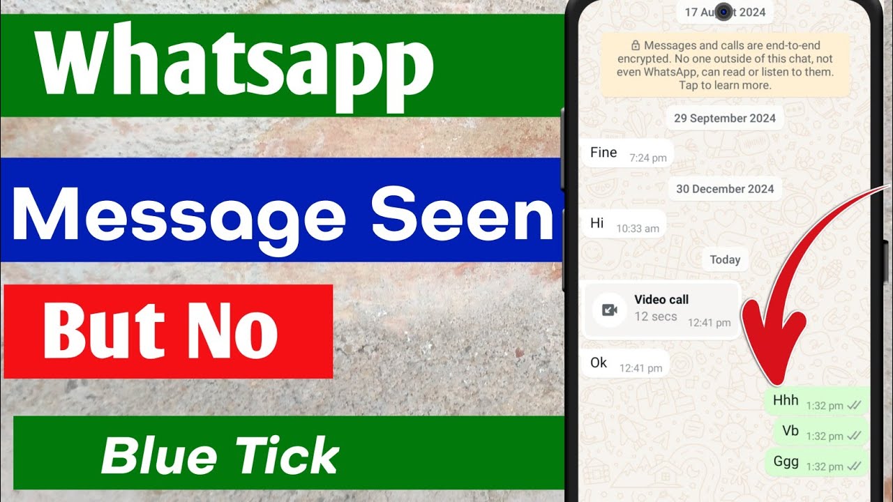 Whatsapp Message Seen But No Blue Ticks Problem How To Read Whatsapp