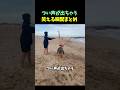 つい声が出ちゃう笑える瞬間まとめ🤣