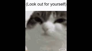 Enemy - Imagine Dragons but it s cat gifs in my Discord favorites