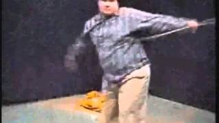 Star wars kid (Remix)