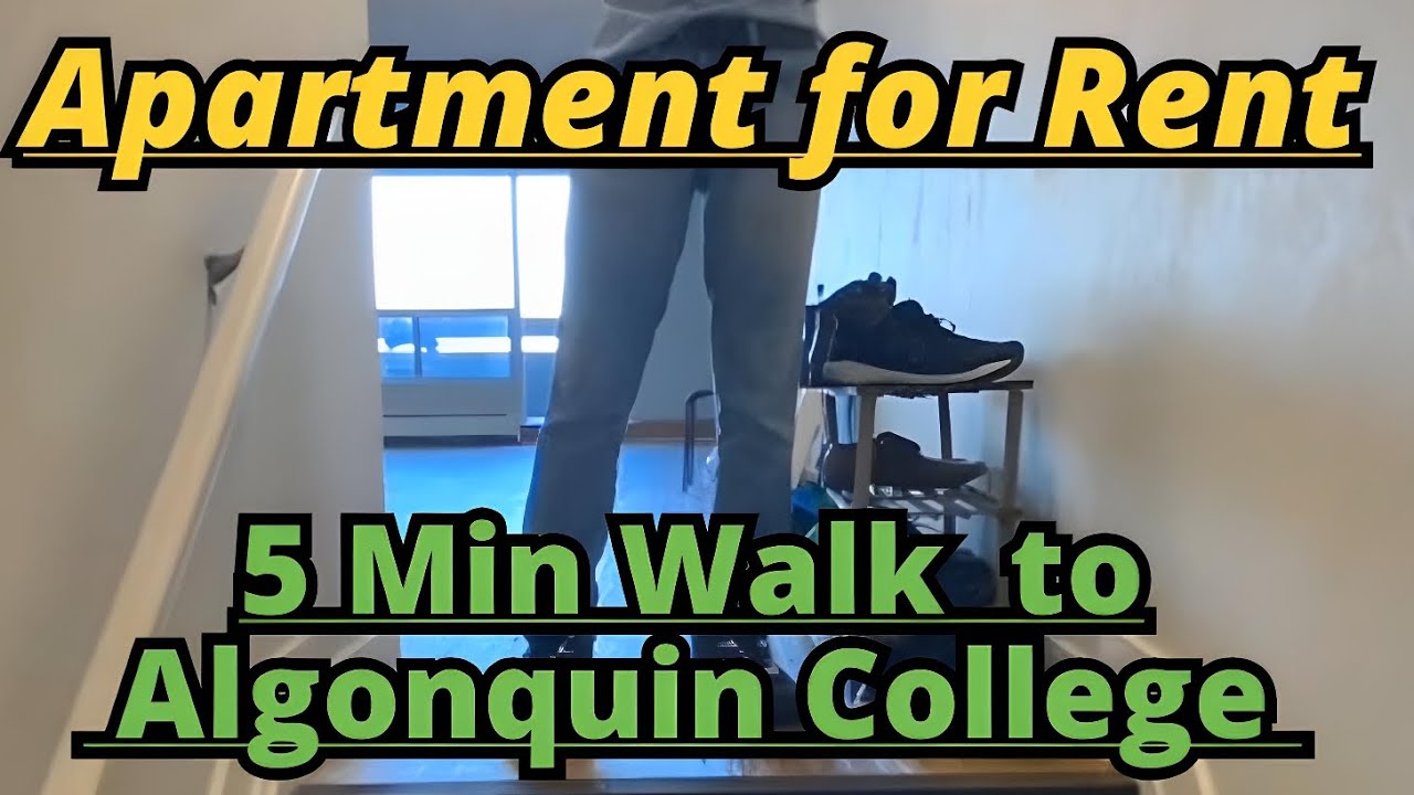 Apartment For Rent 5 minute walk to ALGONQUIN COLLEGE YouTube